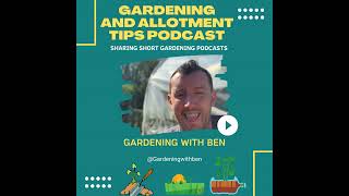 🎥 ✅ 🌿 Sorting Your Strawberry Plants Out in Winter 🍓❄️ | Gardening & Allotment Tips 🌱