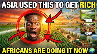 10 Agribusiness Ideas Asia Used to Get Rich - Africans Are Starting Them Right Now