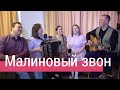 ПЕСНЯ С ГЛУБОКИМ СМЫСЛОМ – Малиновый звон под гармонь, ансамбль Пташица