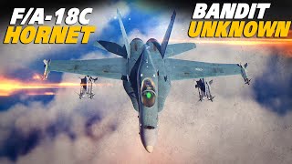F/A18C Hornet Dogfight | Bandit Unknown | Digital Combat Simulator | DCS |