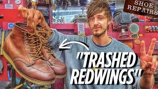 Download Lagu They said these REDWINGS are DEAD!… I couldn't let that happen! MP3 Download Lagu They said these REDWINGS are DEAD!… I couldn't let that happen! MP3