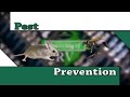 RV Troubleshooting: Pest Prevention