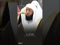 تلاوة خاشعة للشيخ بدر التركي من سورة الدخان 