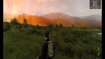 DayZ graphics glitch 2