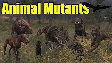 S.T.A.L.K.E.R.: ALL Monsters & Creatures Explained #1 - Animal Mutants
