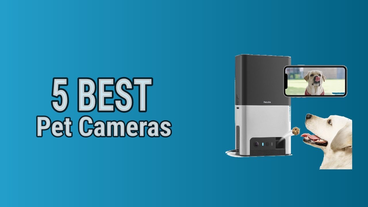 5 Best Pet Cameras YouTube