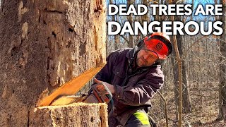 No Nonsense Guide to Felling Dead Trees.