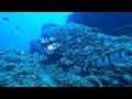 Diving Isola dei cavoli - Villasimius, Sardegna (agosto 2017)