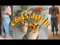je mange pour €6.45 par jour et perds -14 kilos