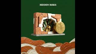 Hidden Risks