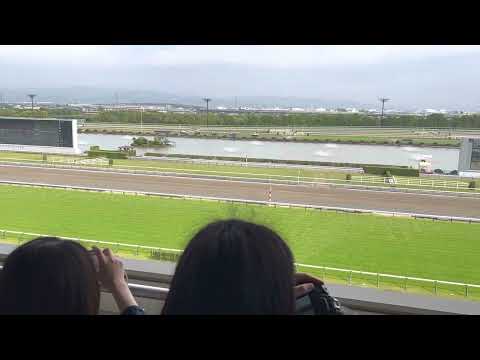 天皇賞春　現地映像　ファンファーレ〜ゴールまで　　ジャスティンパレス　タイトルホルダー