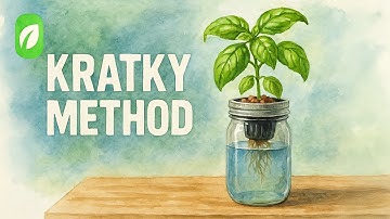 Getting Started with Kratky Hydroponics: Easy DIY Setup Guide