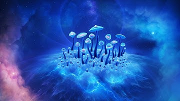 Nokia Ringtones – Bloom (Analog Synthesizer Version)