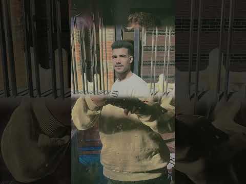 مش ناسي اصحابي الي في وقت الشده قلولي وداع كايرو بيه