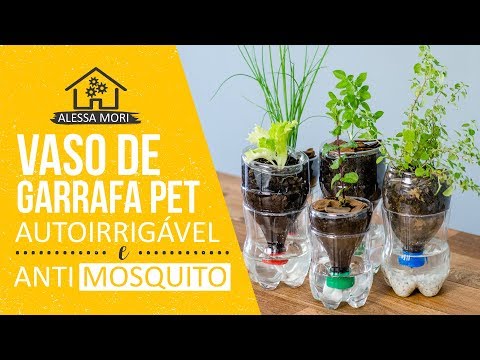 ⭐ VASO AUTOIRRIGÁVEL ANTIDENGUE COM GARRAFA PET | COMO FAZER | DIY PASSO A PASSO