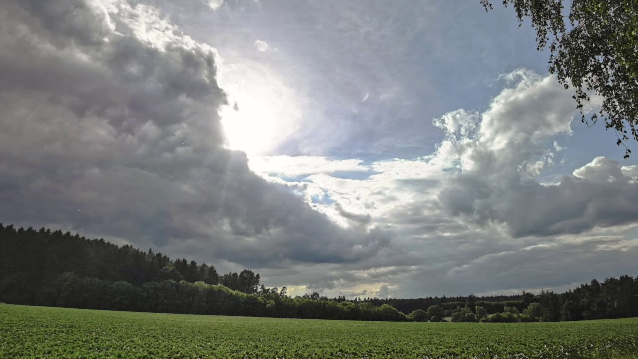 Ho'oponopono: 💚 I'm sorry, please forgive me! 🧘‍♀️Sing along Mantra 🎶 (long version)