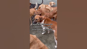 If you love animals, please don