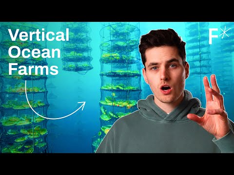 DIY regenerative ocean farms: The future of food and fuel? | Future Explored by Freethink