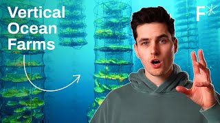 DIY regenerative ocean farms: The future of food and fuel? | Future Explored by Freethink