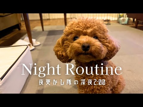 寝不足必至!なかなか寝ない超大変なナイトルーティン🌙  / 凸凹トイプードル