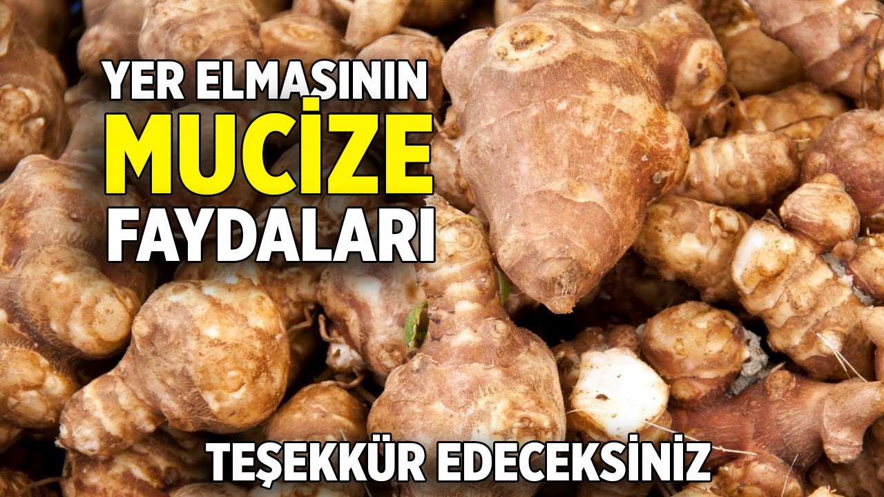 Yer Elmasının Faydaları Ve Zararları Nelerdir? – Pratik Yemek Tariflerim