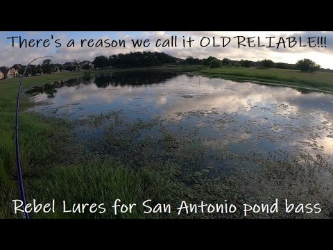 Almost GUARANTEED We Get Bit Here EVERY TIME! – San Antonio bass fishing urban pond