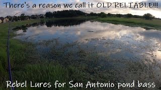 Almost GUARANTEED We Get Bit Here EVERY TIME! - San Antonio bass fishing urban pond