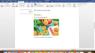 Microsoft word 2016 footnotes