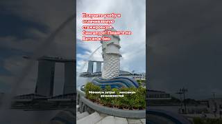 СТАЖИРОВКА И ОПЛАЧИВАЕМАЯ СТАЖИРОВКА В СИНГАПУРЕ! ПИШИТЕ НА ВАТСАП +6580928527