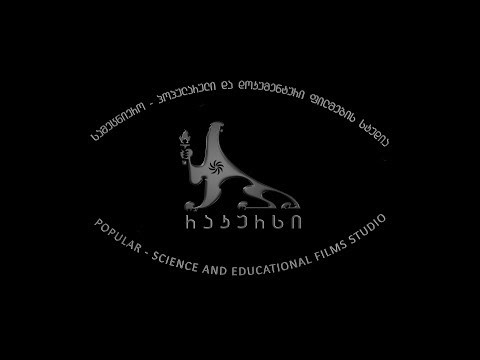 რაკურსი / racurs: ჩაკრულო კოსმოსში