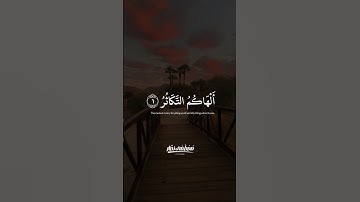 سورة التكاثر كاملة بصوت مصطفي نصار | تلاوة تهز القلوب