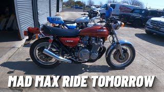 (期間限定)Billbergia 'Mad Max' 2022 MadMax Replica – Bienville Studios