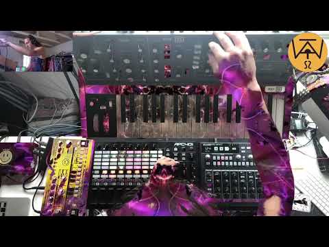 Peace Portal Live Melodic Techno Set - 091521