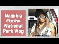 Namibia 🇳🇦 Etosha National Park Okaukuejo Safari Vlog