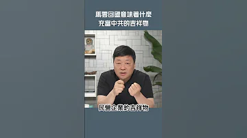 马云回国 不过是当个吉祥物而已 