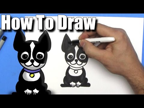 Easy Chibi Drawing Instructions for a Cute Cartoon Boston Terrier