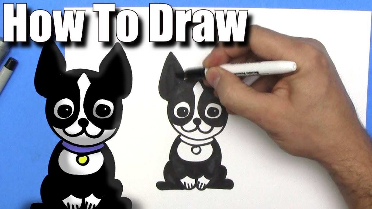 How To Draw a Cute Cartoon Boston Terrier - EASY Chibi - Step By Step