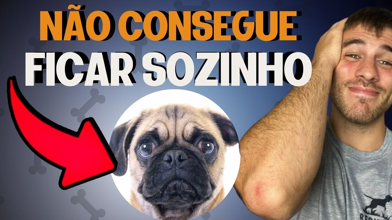 Como ACABAR com a Ansiedade por Separação do seu Cachorro!
