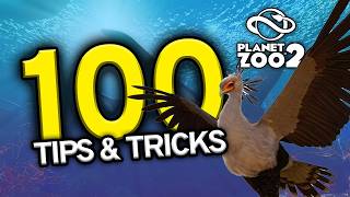 Information 100 Beginner TIPS & TRICKS for Planet Zoo 2 Update