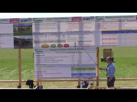 BEEF 2018 livestock demo: Chris Daly of ICBF