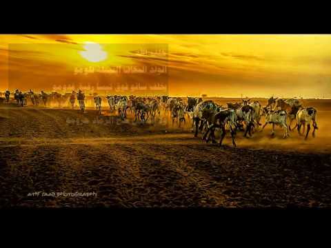 طه ورية النص الشعري المصحوب بالصوت الجزء الثالث