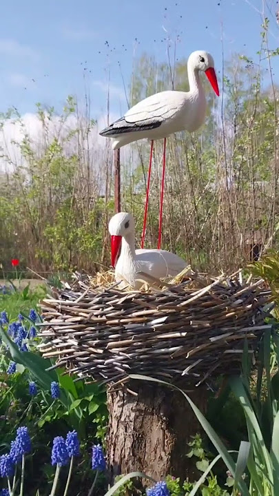 🪴 Rattan flowerpot 'Nest' 🦅🦅🦅