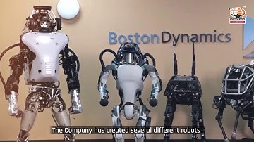 Raibert Hopper Robot