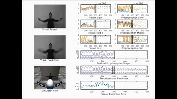 Predicting future and reflecting past in terms of visuo-proprioceptive patterns