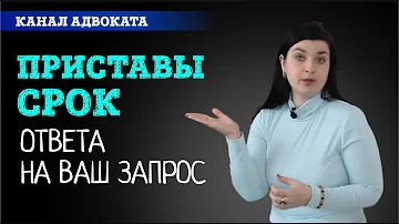 Сколько приставы отвечают на заявление