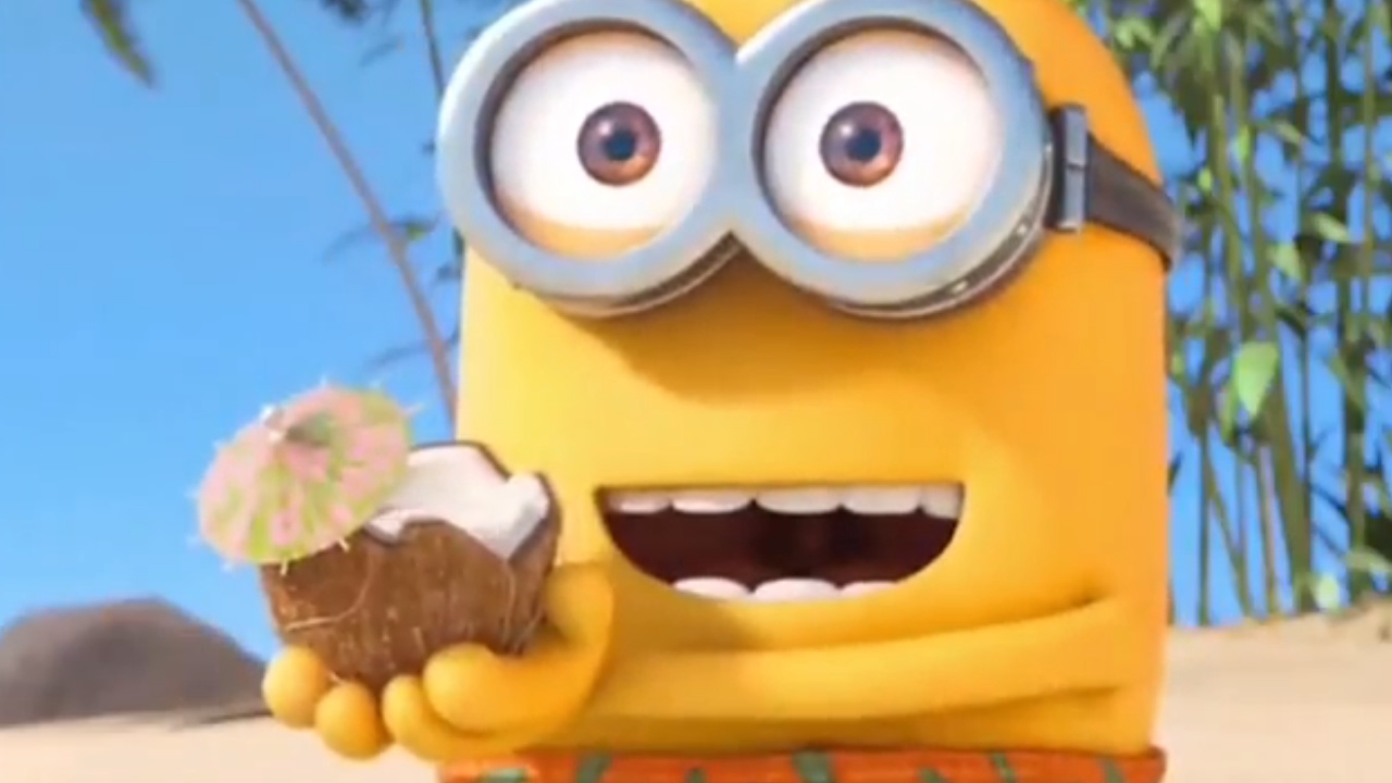 hints minions paradise