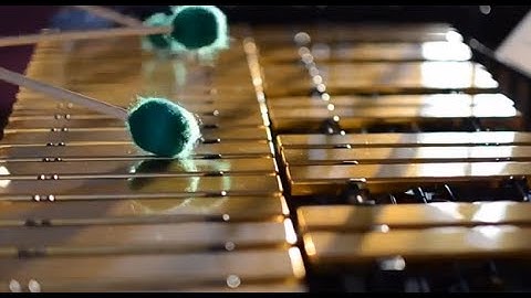 The Vibraphone Electric | Steve Shapiro