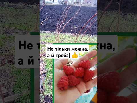 Як зробити #шпалери