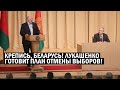 СРОЧНО! Лукашенко готовит план ОТМЕНЫ ВЫБОРОВ! "Что бы Переворот ПОДАВЛЯТЬ" Пошли первые АРЕСТЫ!