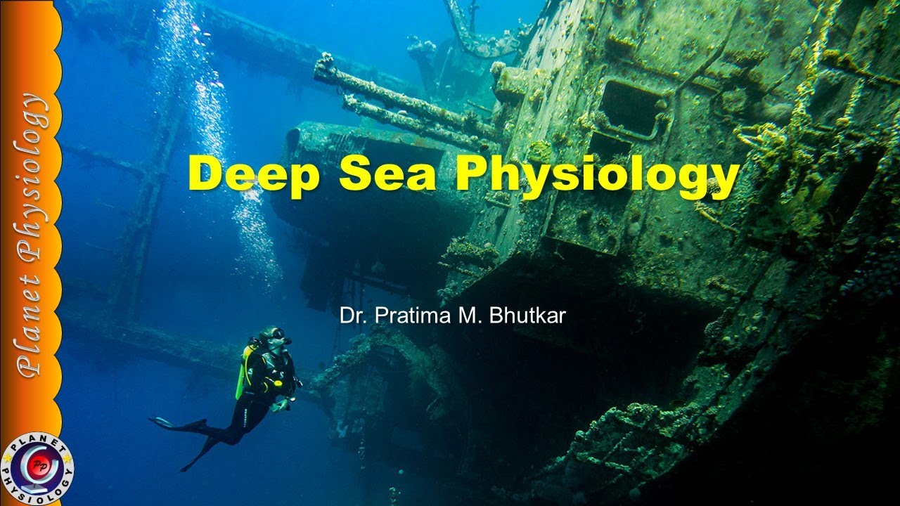 Deep sea physiology - YouTube
